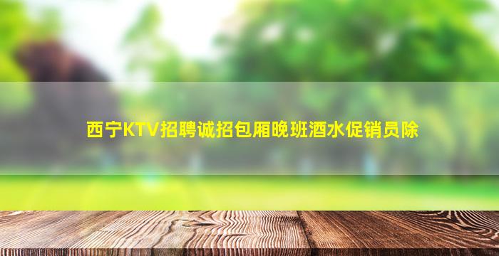 西宁KTV招聘诚招包厢晚班酒水促销员除